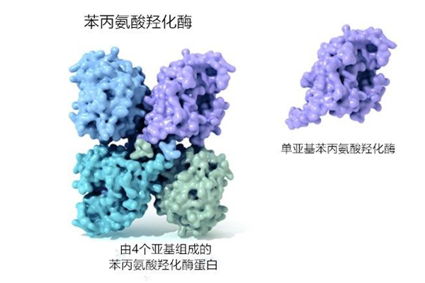 四氢生物蝶呤缺乏症