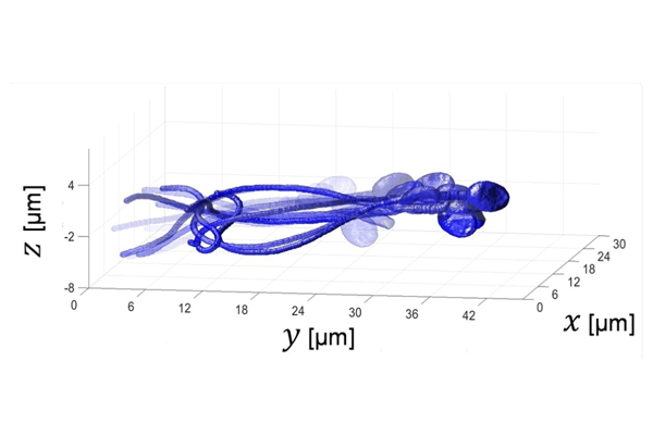 3d6eb6fb209c9d83f714d9e0a9e2480e.png 3d6eb6fb209c9d83f714d9e0a9e2480e.png