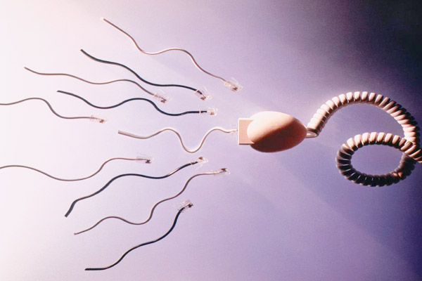 氧化应激引起的不孕以及试管婴儿治疗的影响