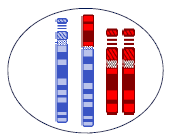 228f58312b3bd2e6033f0ca32d62de64.png 228f58312b3bd2e6033f0ca32d62de64.png