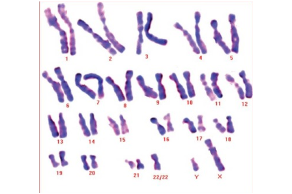 d9d55abc87cab989a272c2c566a52aa3.png d9d55abc87cab989a272c2c566a52aa3.png