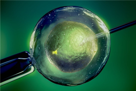 ec68d2fd4cd4f6ff9c19152eba56d45d.jpg ec68d2fd4cd4f6ff9c19152eba56d45d.jpg