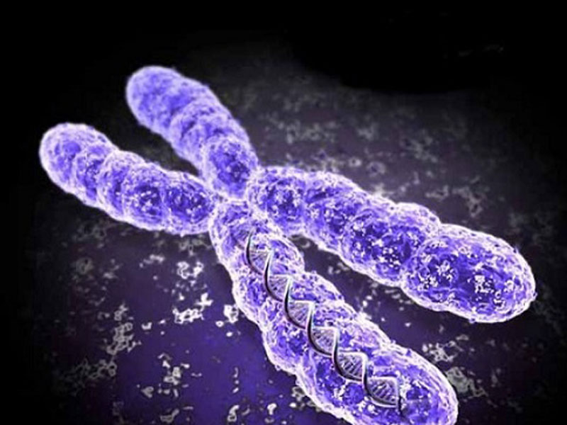 习惯性流产如何预防及治疗？