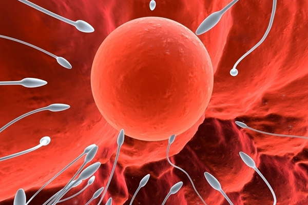 试管婴儿治疗的免疫学检查