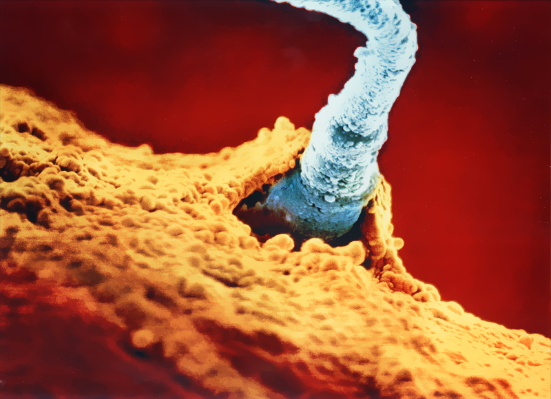 f0f0e071668caa0d066c2901fff03764.png f0f0e071668caa0d066c2901fff03764.png