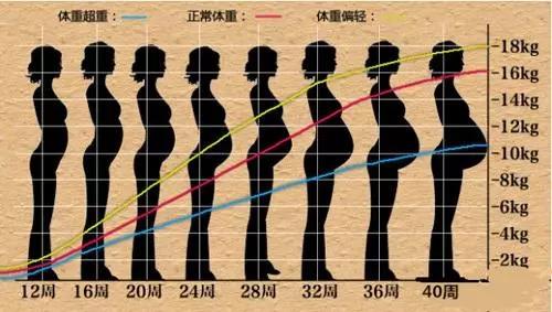 孕期体重变化与合理膳食
