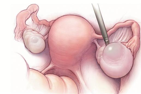 68431ab31d55da246ccdb4e7be2061cf.png 68431ab31d55da246ccdb4e7be2061cf.png