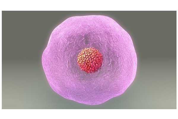 ae77f694a7bcd94589d8ea121b362d00.png ae77f694a7bcd94589d8ea121b362d00.png