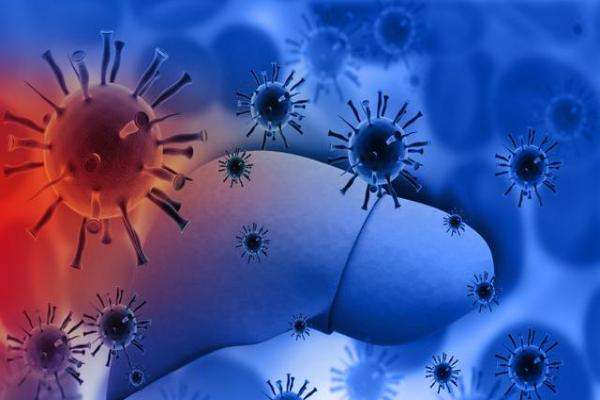 肝炎会导致流产么