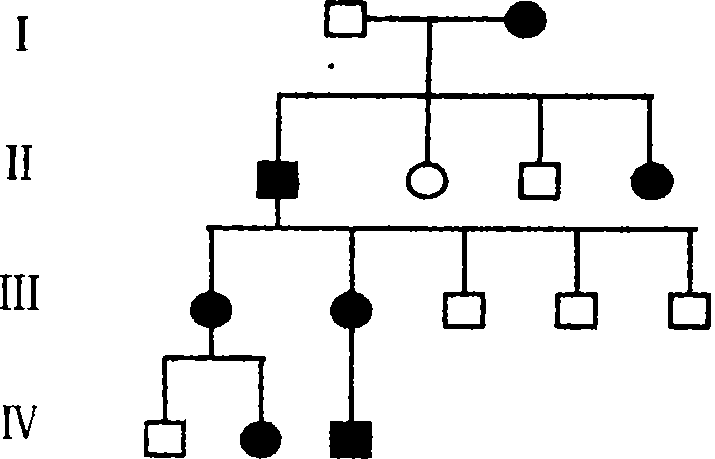 X伴性显性性状的家系图