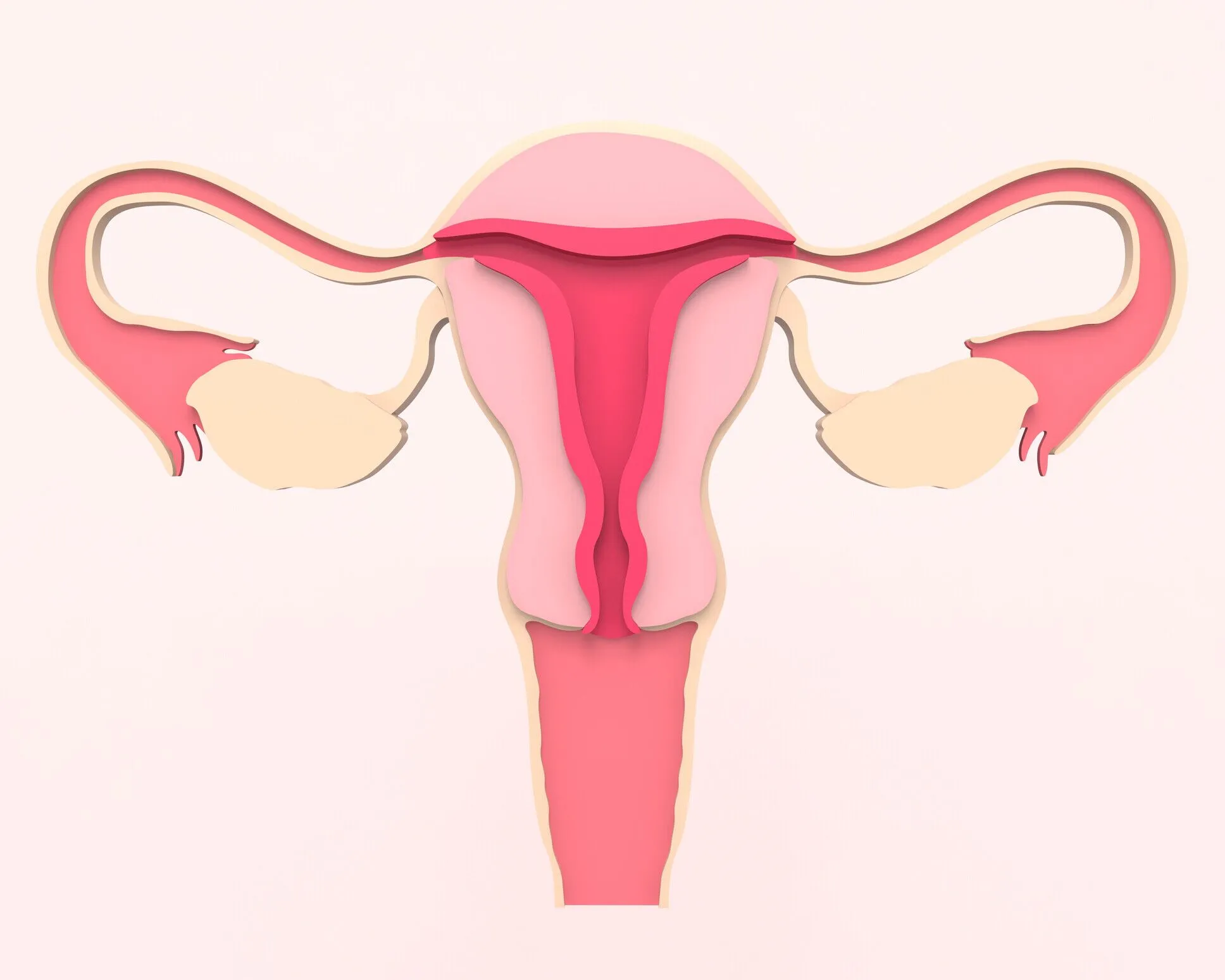 Fallopian-Tubes-Fertility-1.webp